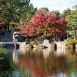 Autumn Leaves in Nagoya