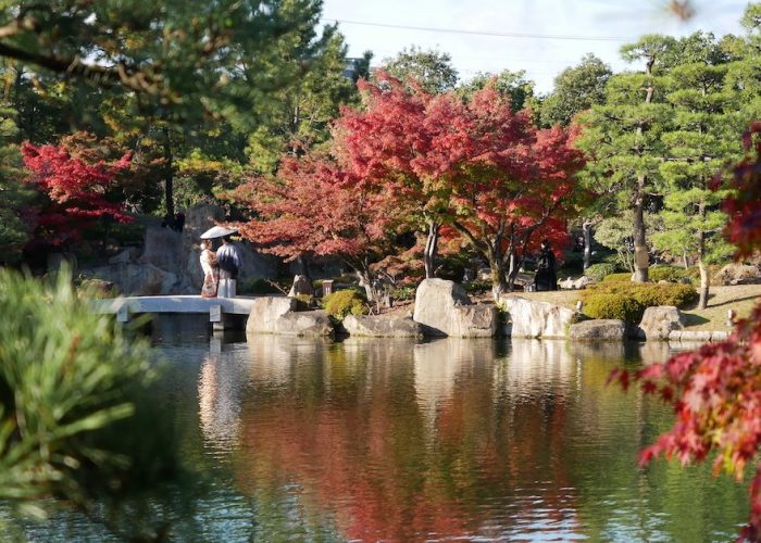 Autumn Leaves in Nagoya