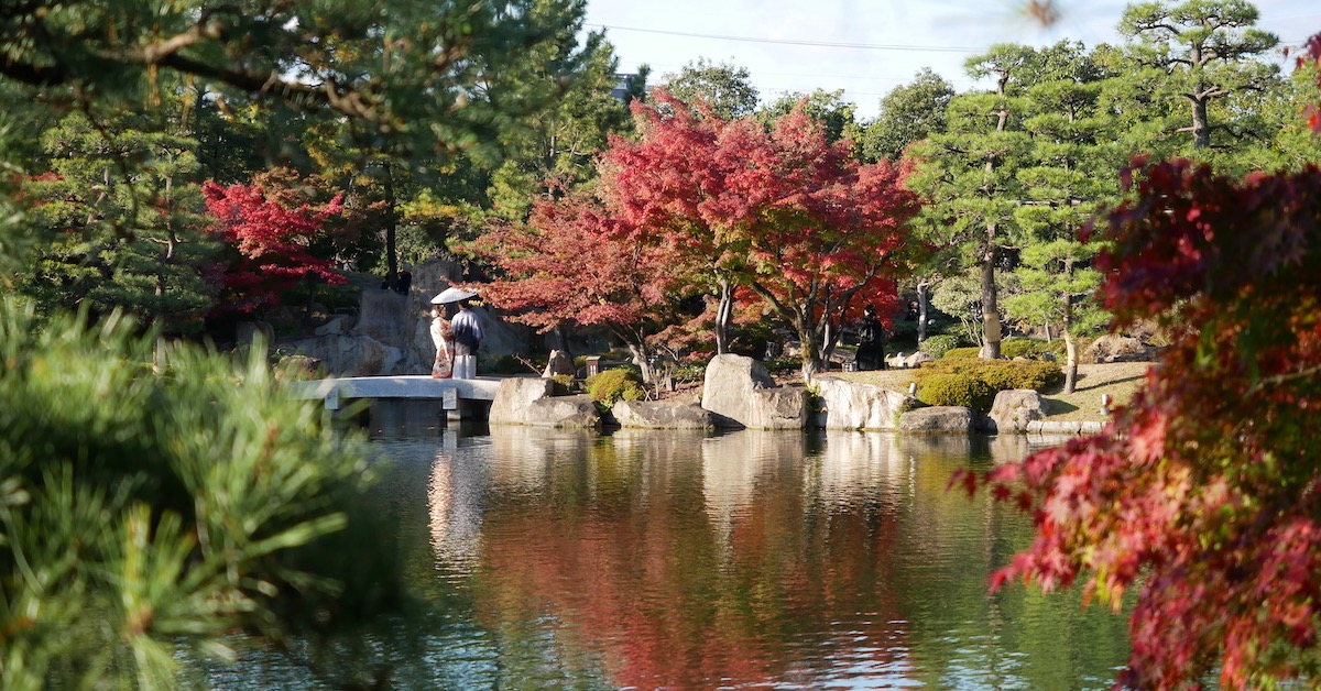Autumn Leaves in Nagoya