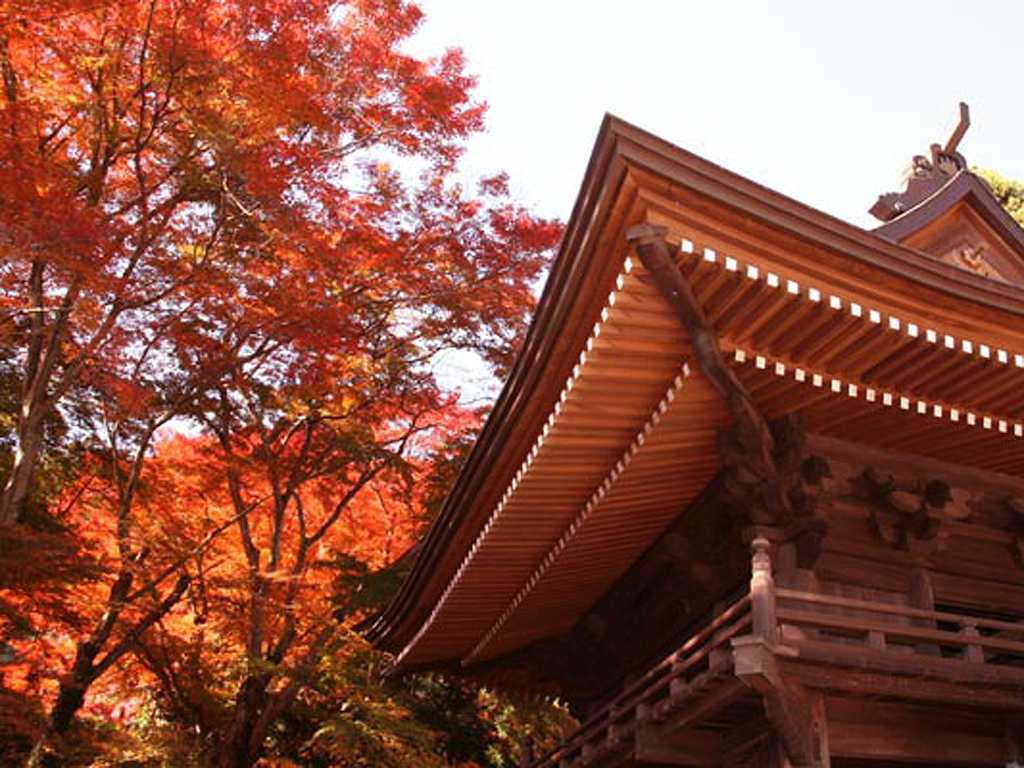 Fumonji Temple in Autumn