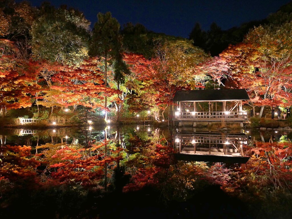 Higashiyama Botanical Garden in Autumn