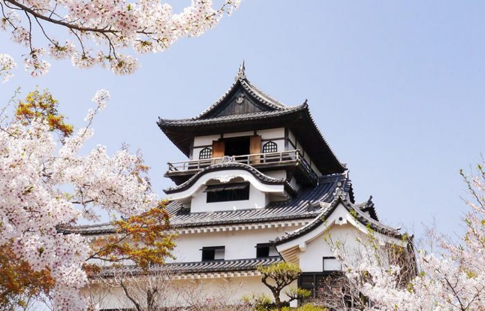 Inuyama Castle in the spring