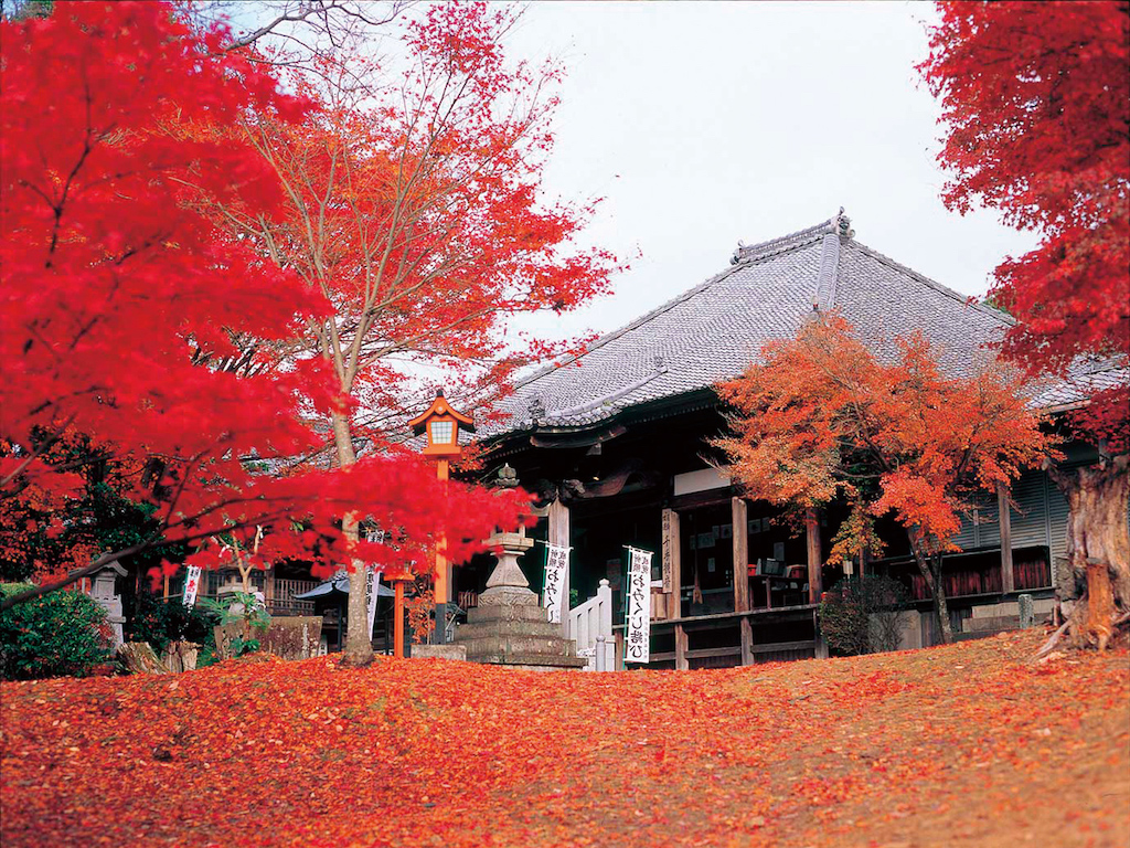 Jakkoin Temple in Autumn