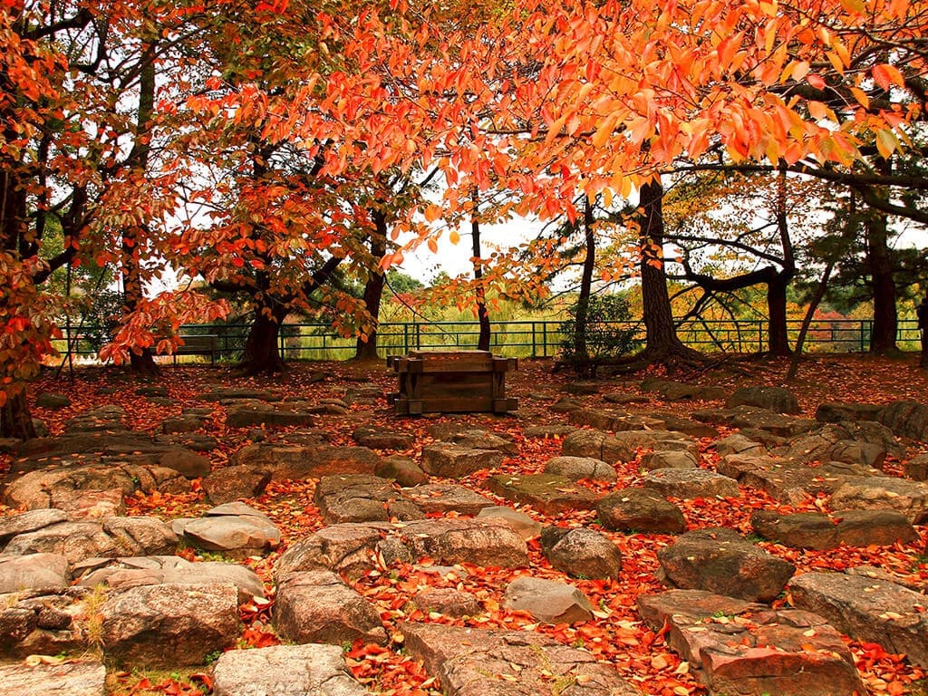 Meijo Park in autumn