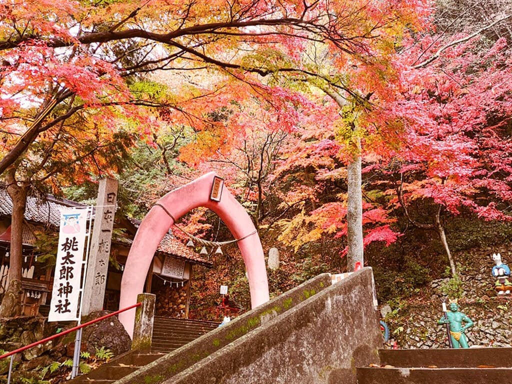 Momotaro Shrine autumn