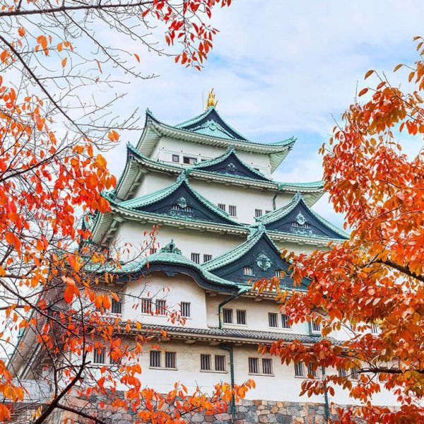 Nagoya-Castle_autumn Nagoya Castle in autumn