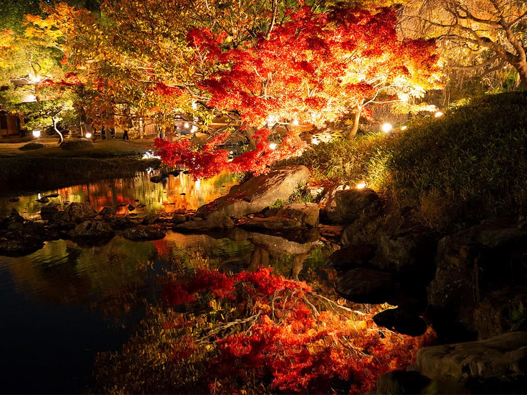 Shiritorien in autumn
