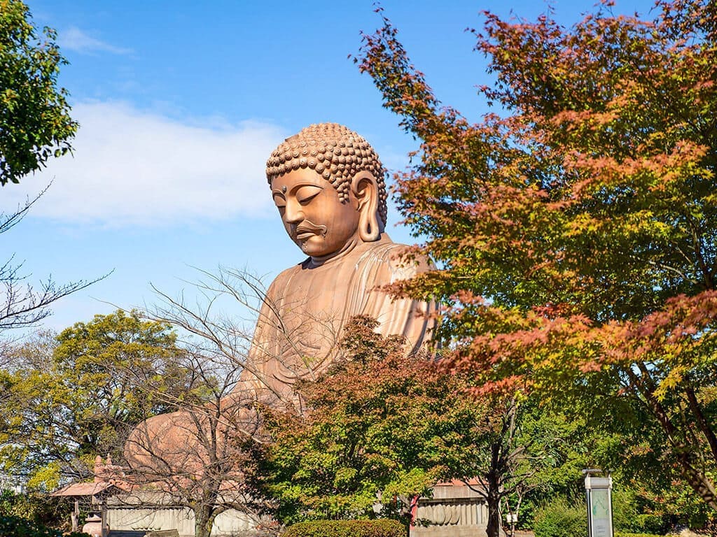 Shurakuen Park in autumn