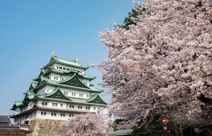 Nagoya Castle Spring Festival Nagoya Info Nagoya Castle Spring Festival Nagoya Info