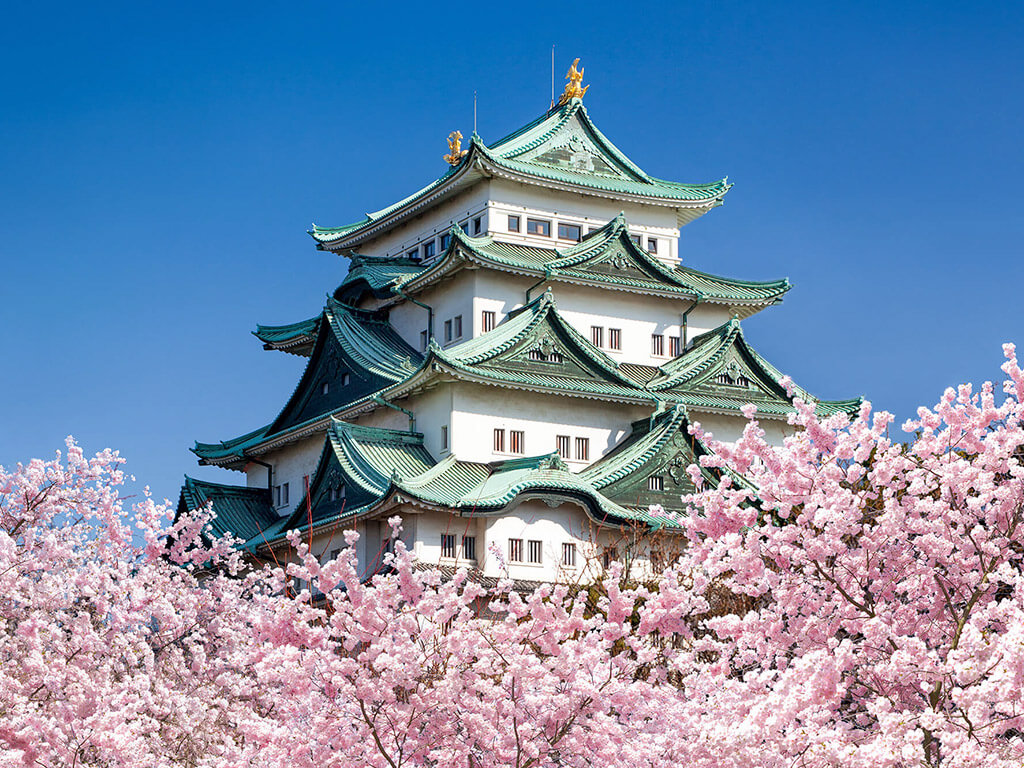 Nagoya castle