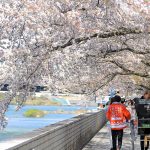 Inuyama Downtown