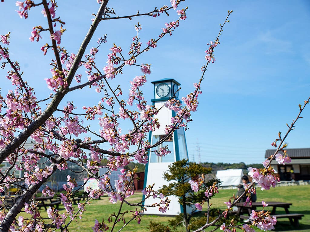 Sori Pond Plum Festival