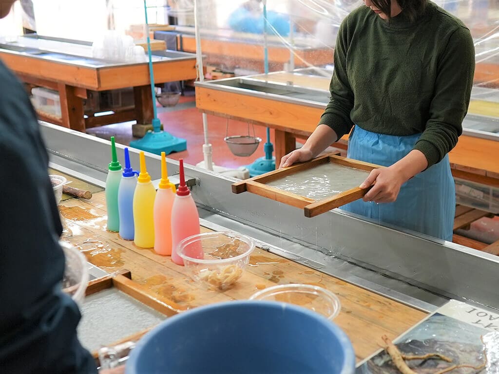 Washi paper making