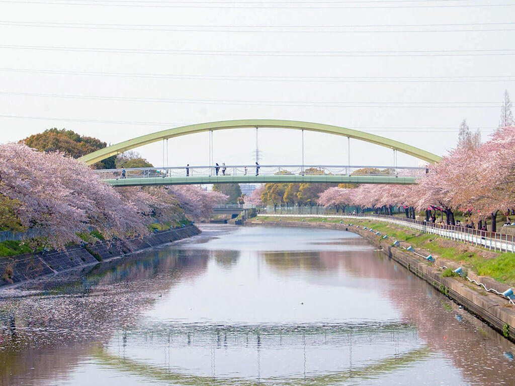 Arakogawa park