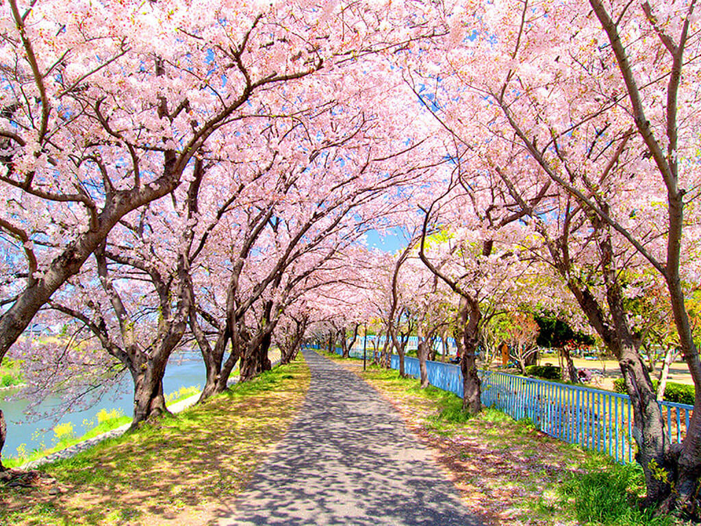 Higashiyama park