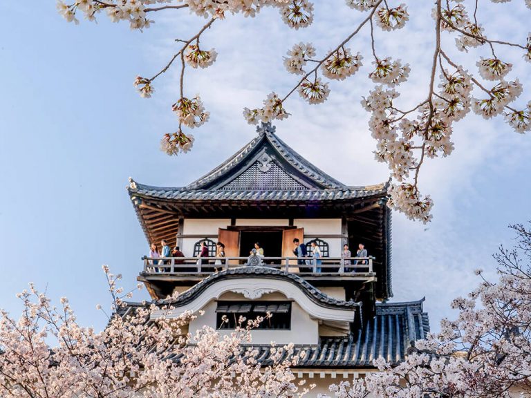15 Cherry Blossom Spots in Nagoya and Aichi - Nagoya is not boring