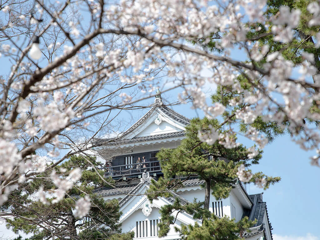 Okazaki castle