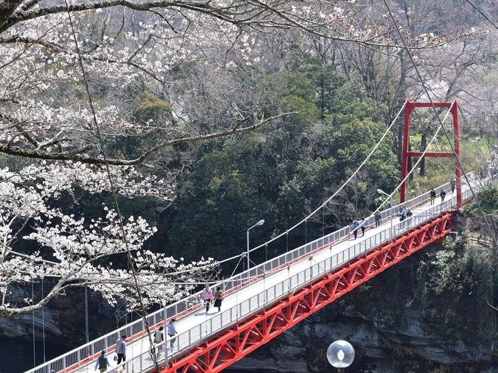 Sakurabuchi park