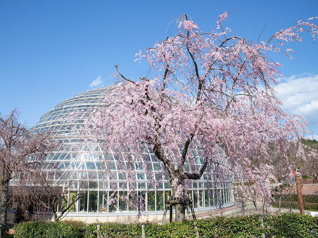 Togokusan park