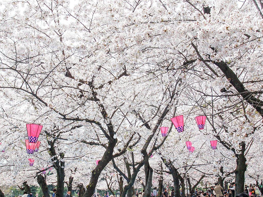 Tsurumai park