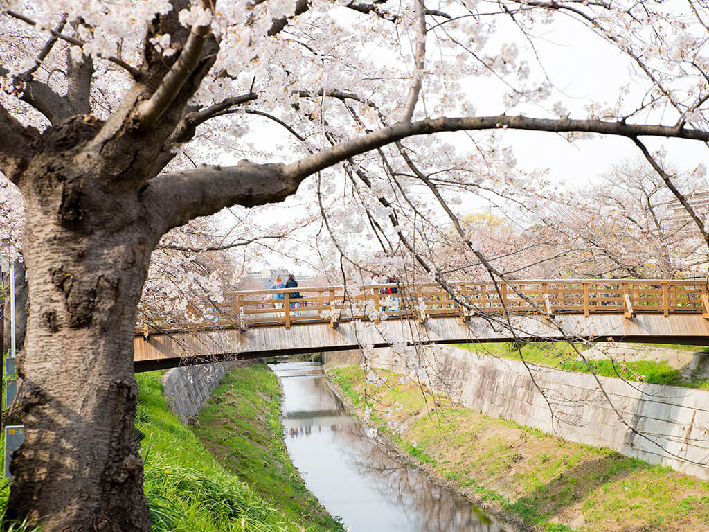 Yamazaki river