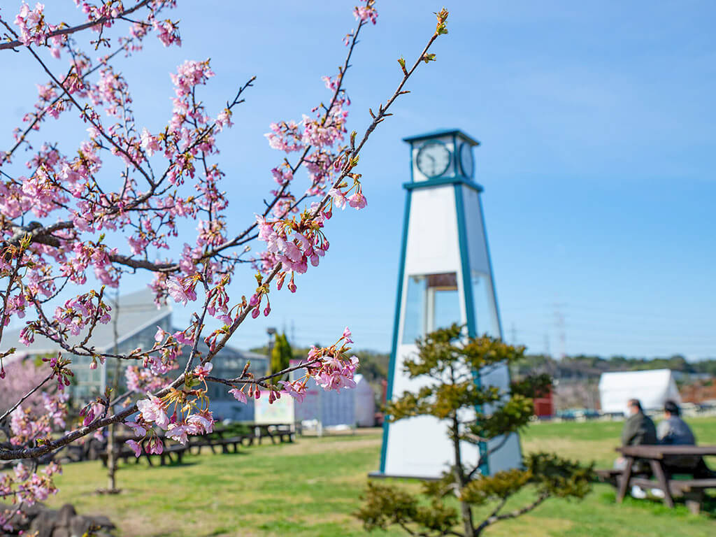 Souri Green & Flower Fureai Park plum blossoms