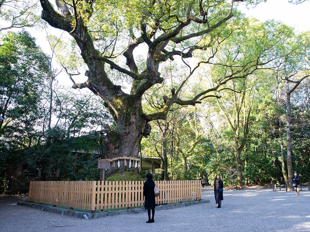 Atsuta Jingu Goshinboku