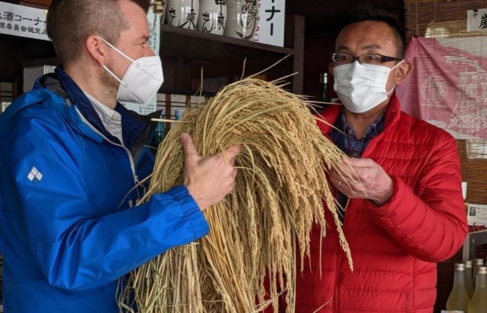 Talking about rice at a sake brewery