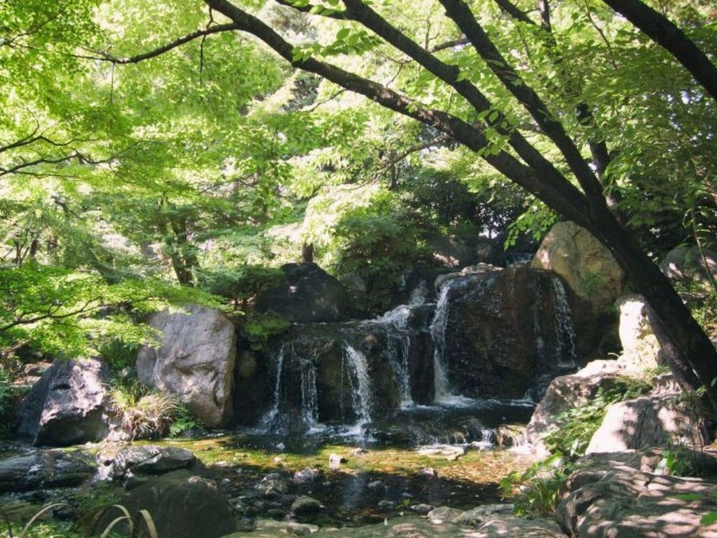 Mini waterfalls in the summer. 