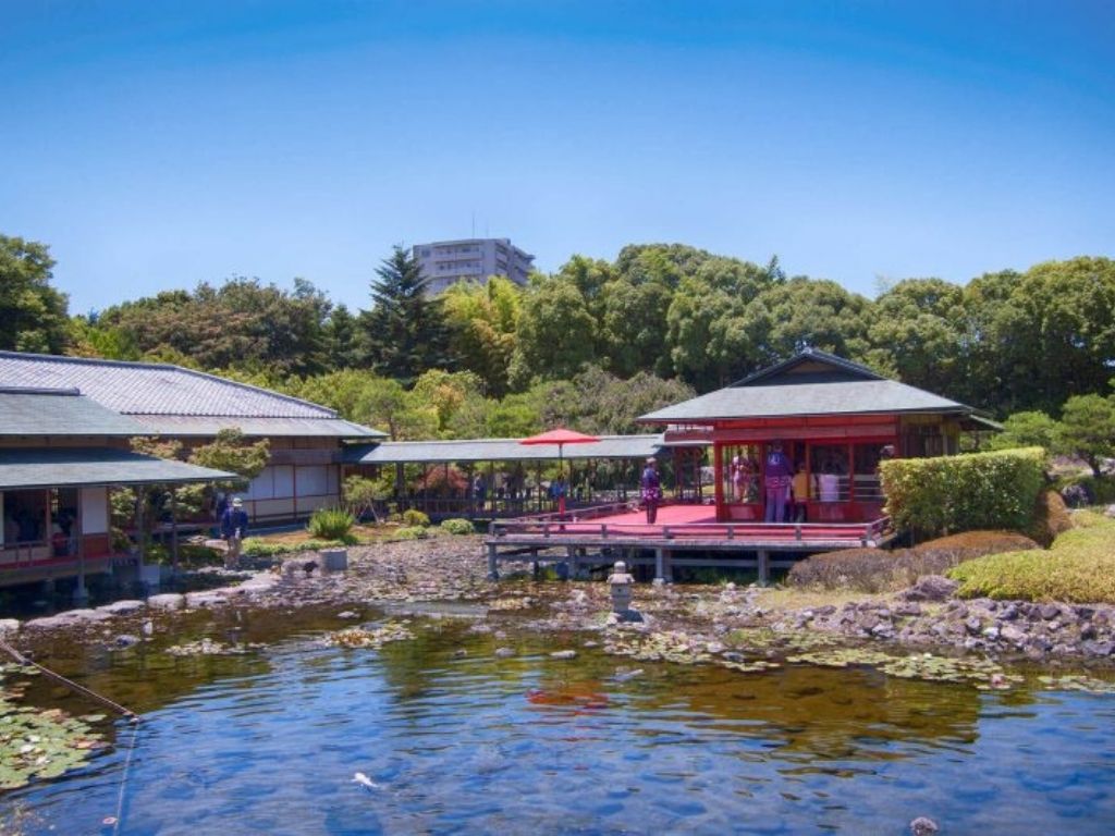 Fish swimming in the park's waters