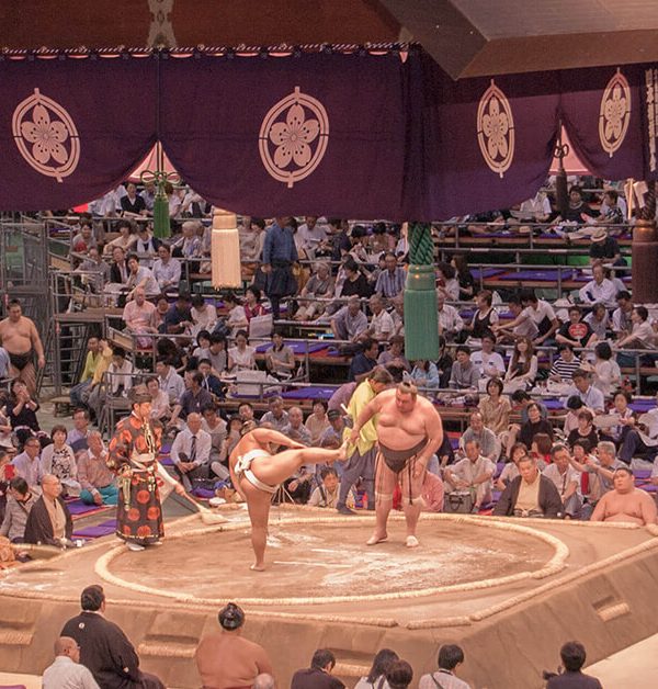 Sumo Tournament Experience