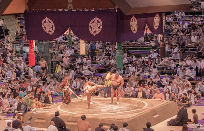 Sumo Tournament Experience