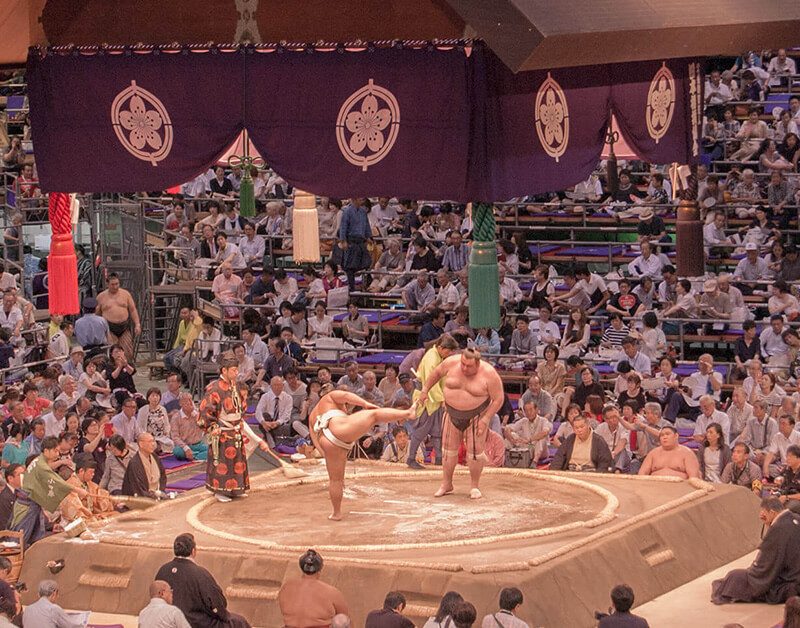 Sumo Tournament Experience