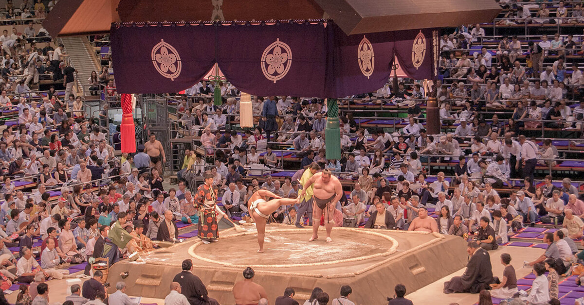 Sumo Tournament Experience