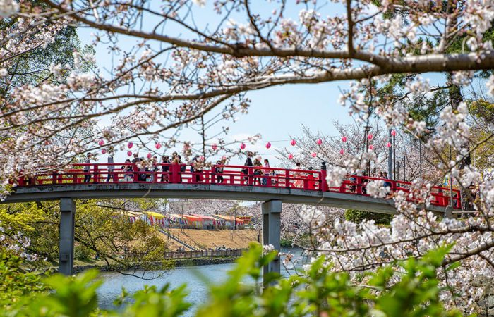 Okazaki Park in Spring