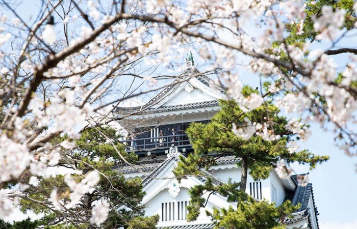 Okazaki Castle in Spring