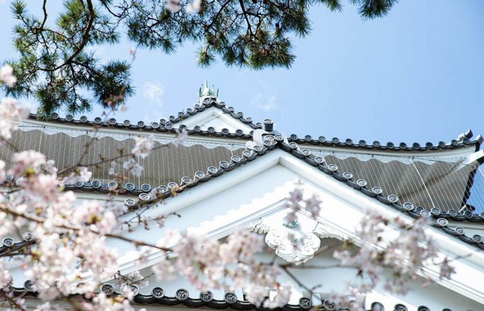 Okazaki Castle in Spring