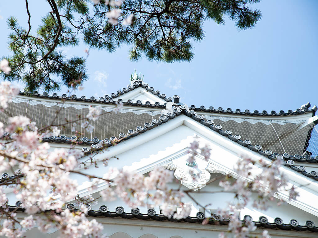 Okazaki Castle in Spring