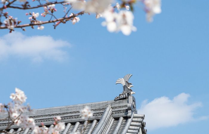 Okazaki Castle Roof