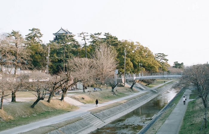 Okazaki Park in Winter