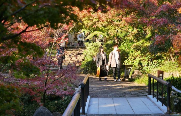 Autumn Tour