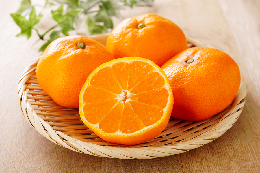 Oranges in Winter