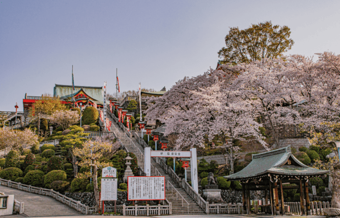 Inuyama Narita san during spring