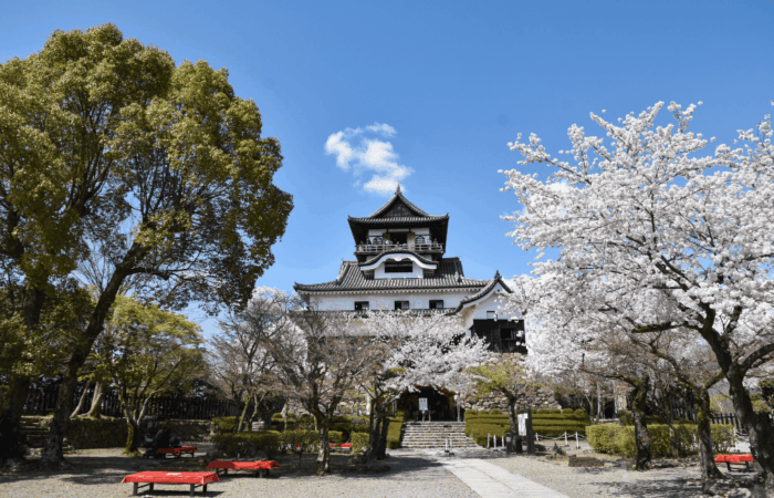 Inuyama castle during spring