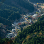 Shinshiro city from above with fall colors all around.