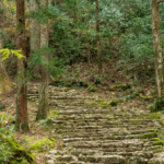 The mossy stairs of Mt. Horaiji surrounded by autumn colors.