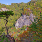 The stone wall of Mt. Horaiji covered in trees ranging in fall colors.