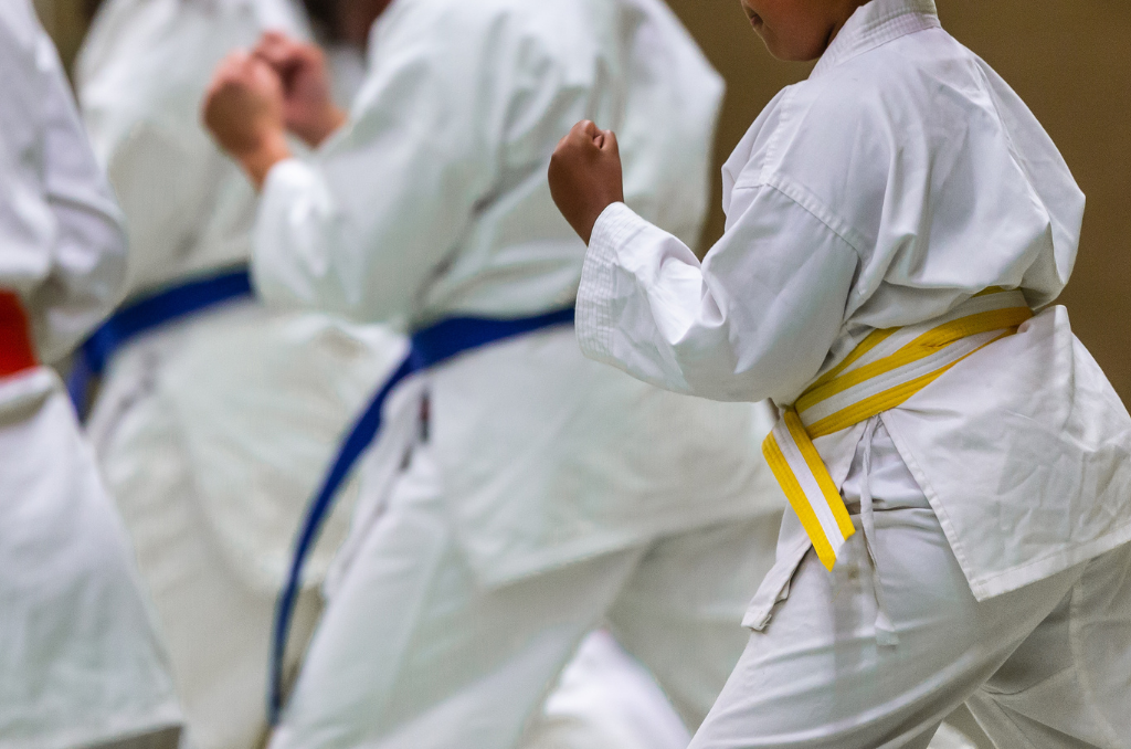 A group of students forming a beginner Karate pose with their left legs out and left arms curled up in a fist.