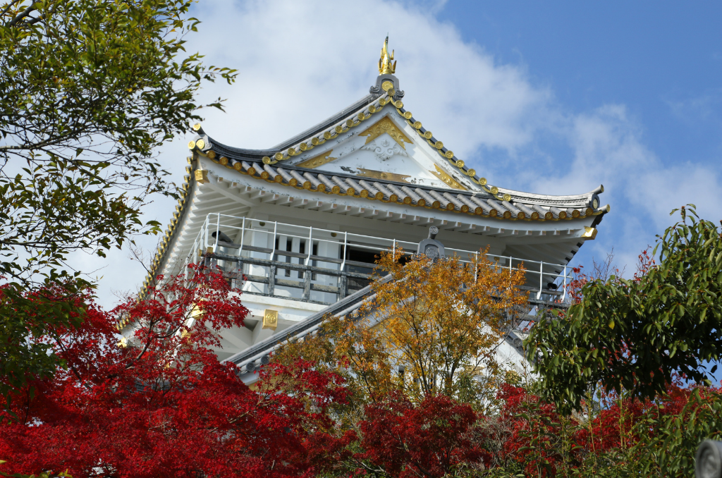 The roof of the white, gold, and charcoal Gifu Castle peeking out from green, red, and orange maple trees in full autumn colors.