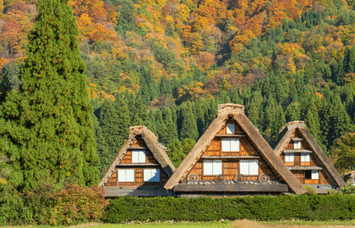 Three thatched roof houses in Shirakawago on a bright, sunny day, framed by mountains and trees on every side in brilliant shades of green, orange, and yellow for fall.